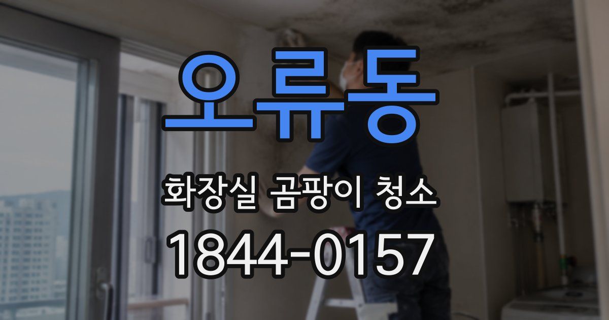 오류동 화장실 곰팡이 청소