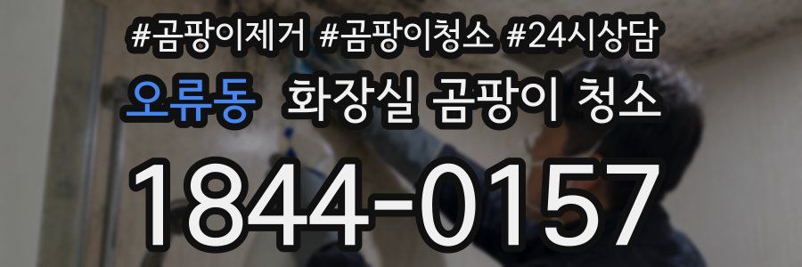 오류동 화장실 곰팡이 청소