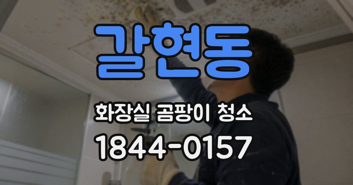 갈현동 화장실 곰팡이 청소