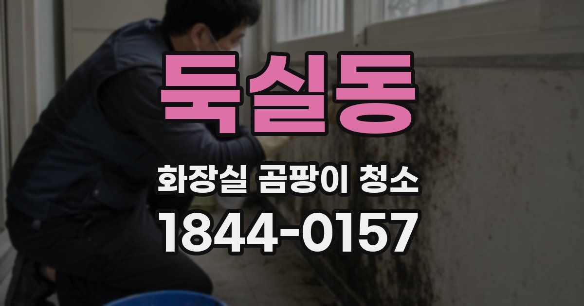 둑실동 화장실 곰팡이 청소