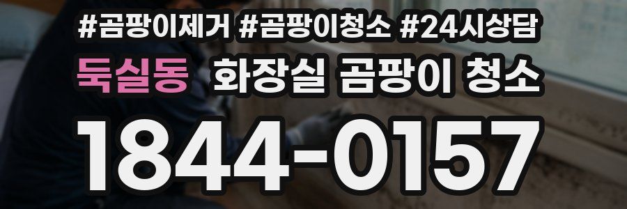 둑실동 화장실 곰팡이 청소
