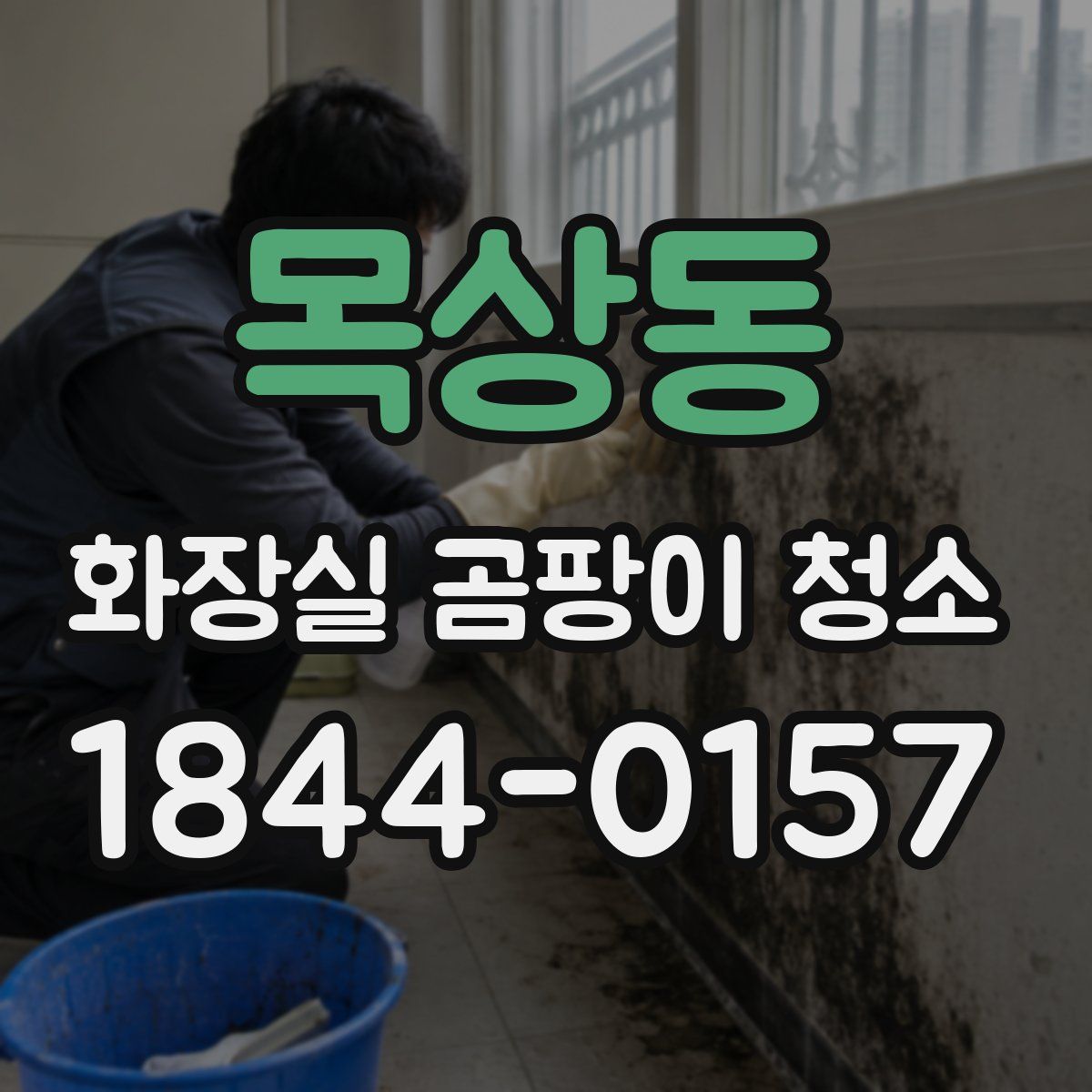 목상동 화장실 곰팡이 청소