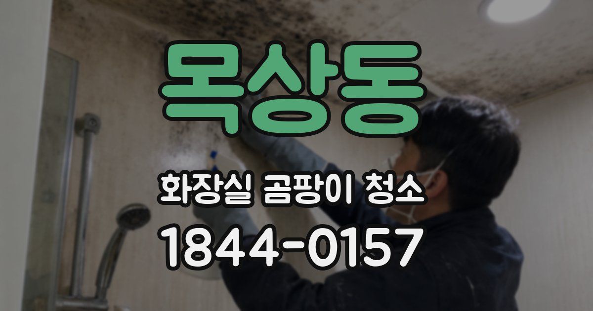 목상동 화장실 곰팡이 청소