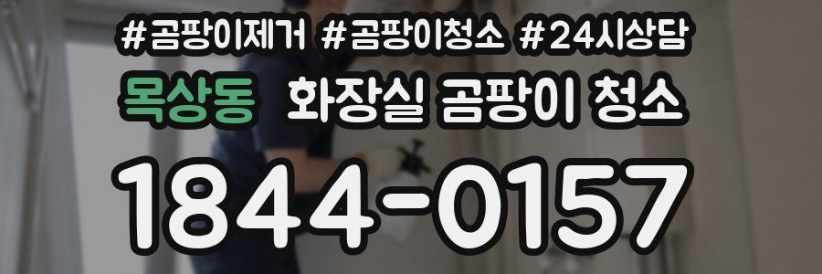 목상동 화장실 곰팡이 청소