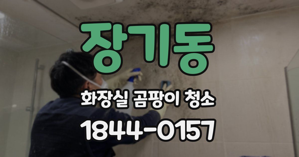 장기동 화장실 곰팡이 청소
