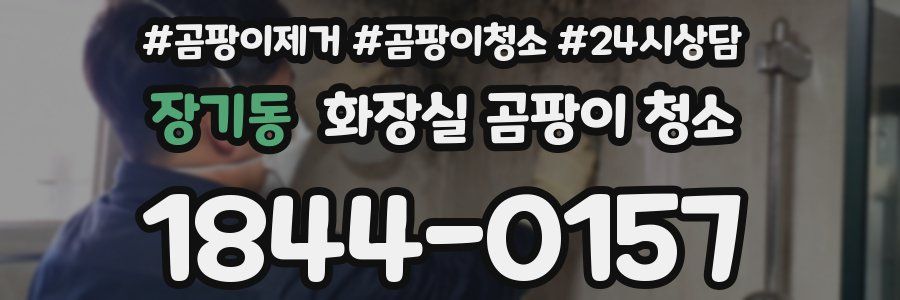 장기동 화장실 곰팡이 청소