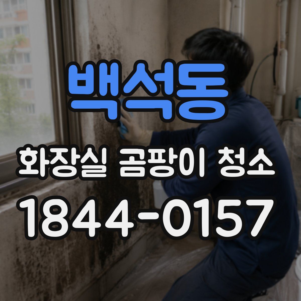 백석동 화장실 곰팡이 청소