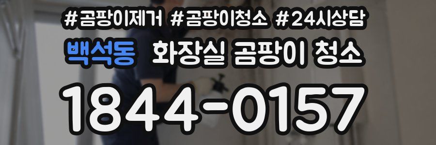백석동 화장실 곰팡이 청소