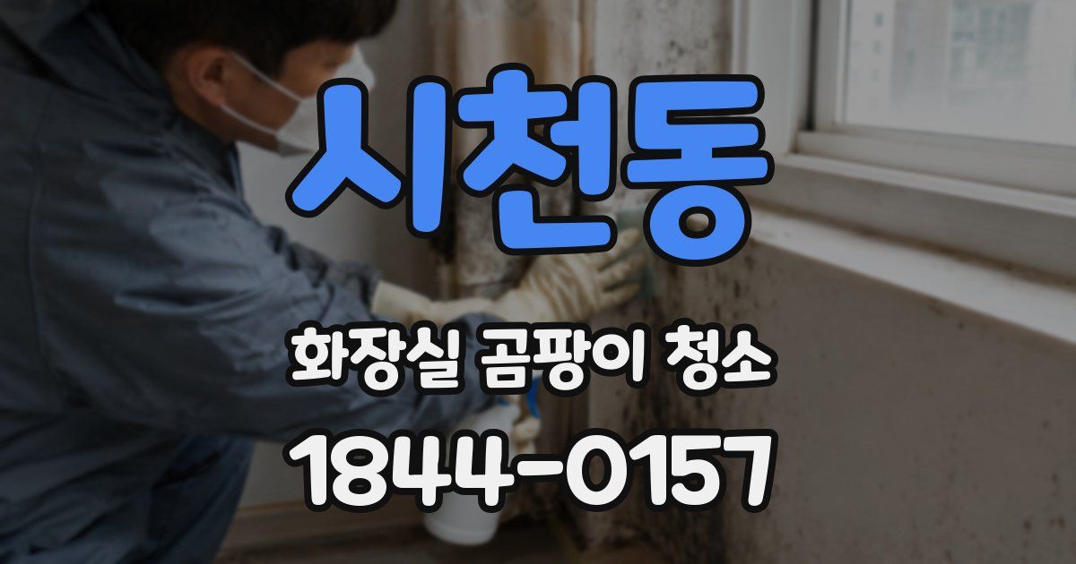 시천동 화장실 곰팡이 청소