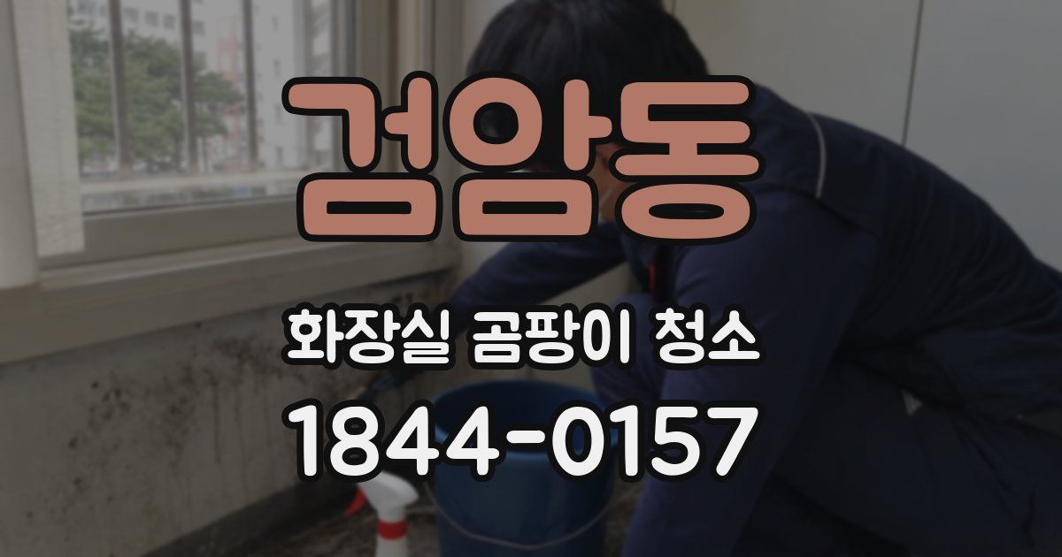 검암동 화장실 곰팡이 청소