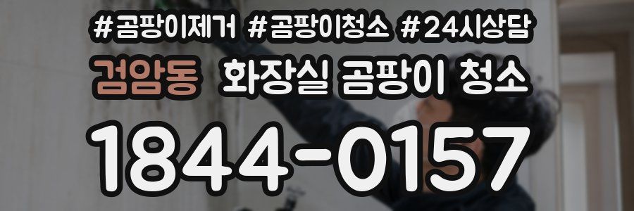 검암동 화장실 곰팡이 청소