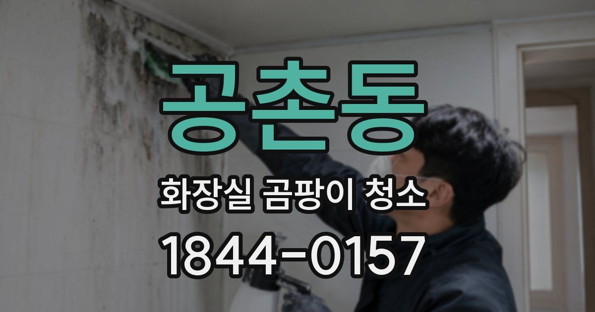 공촌동 화장실 곰팡이 청소