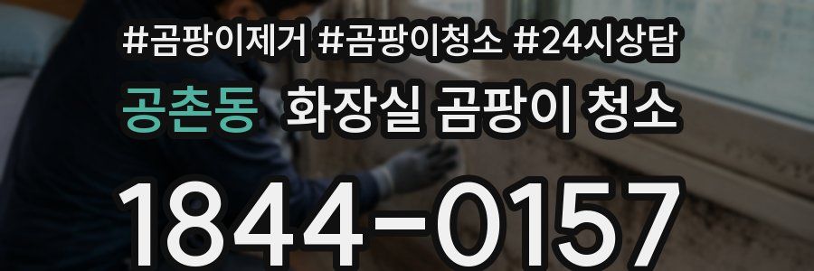공촌동 화장실 곰팡이 청소