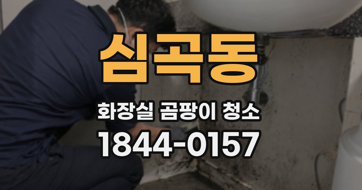 심곡동 화장실 곰팡이 청소