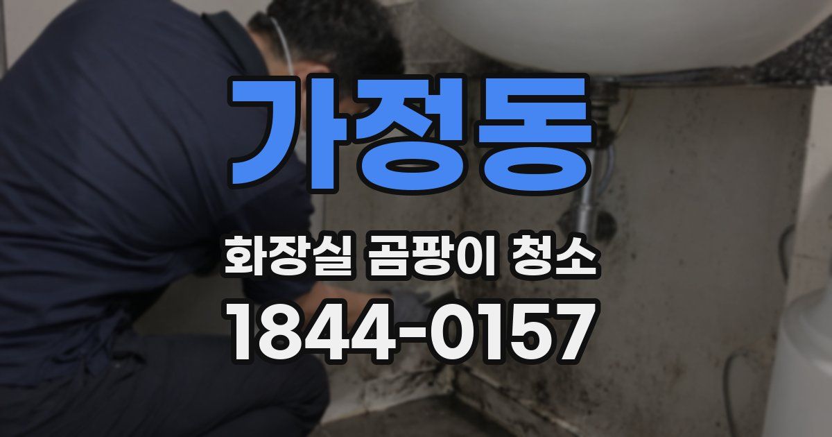 가정동 화장실 곰팡이 청소