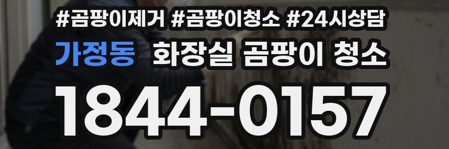 가정동 화장실 곰팡이 청소
