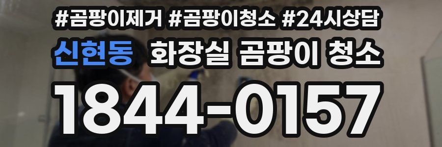 신현동 화장실 곰팡이 청소