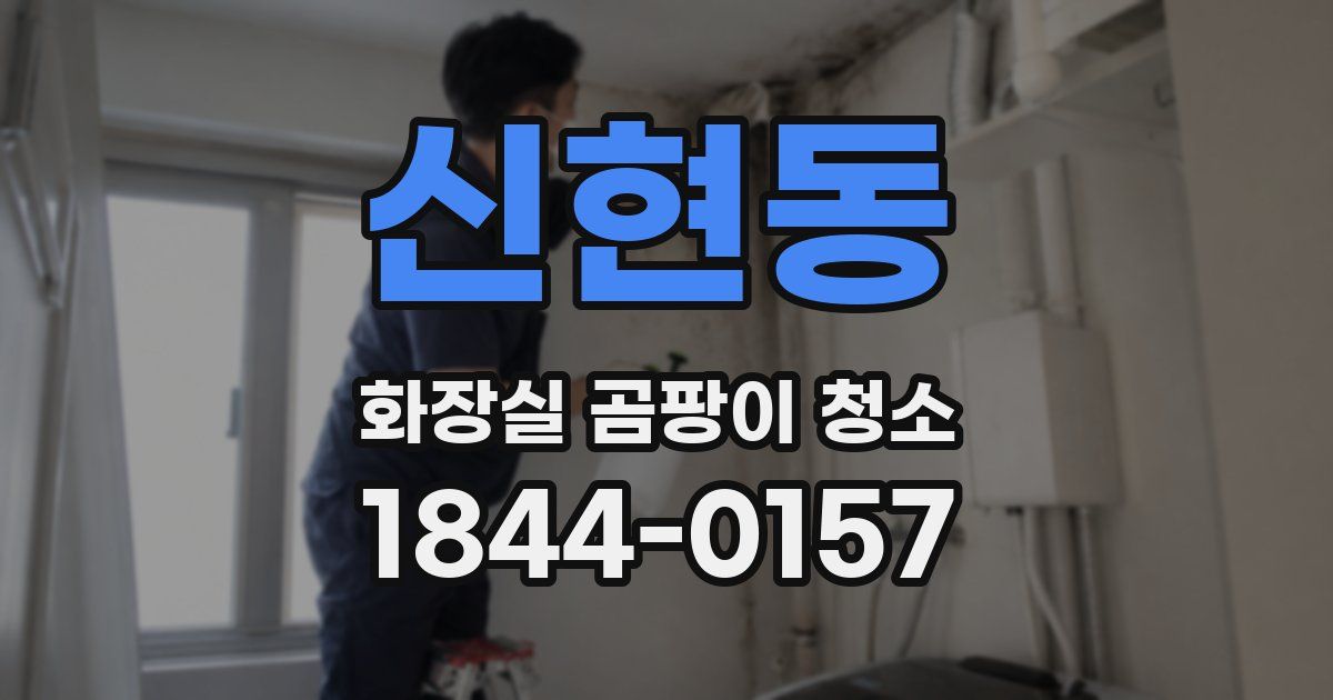 신현동 화장실 곰팡이 청소