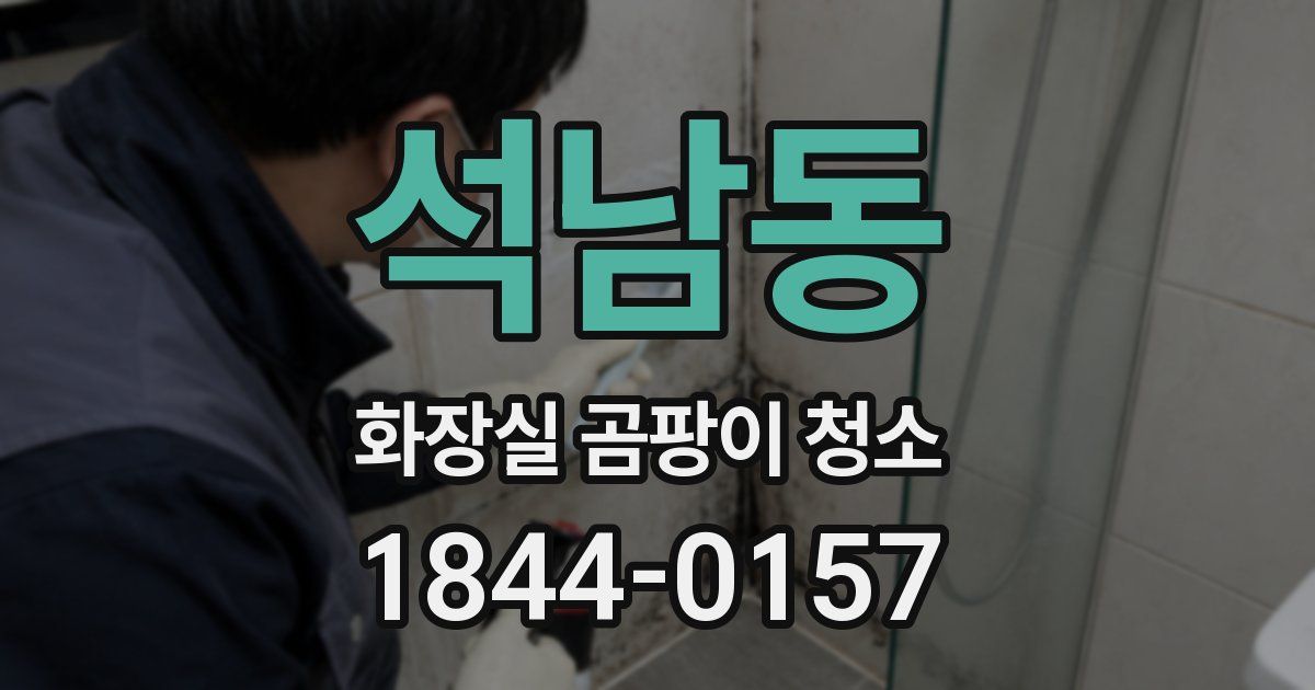 석남동 화장실 곰팡이 청소