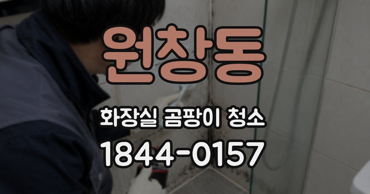 원창동 화장실 곰팡이 청소