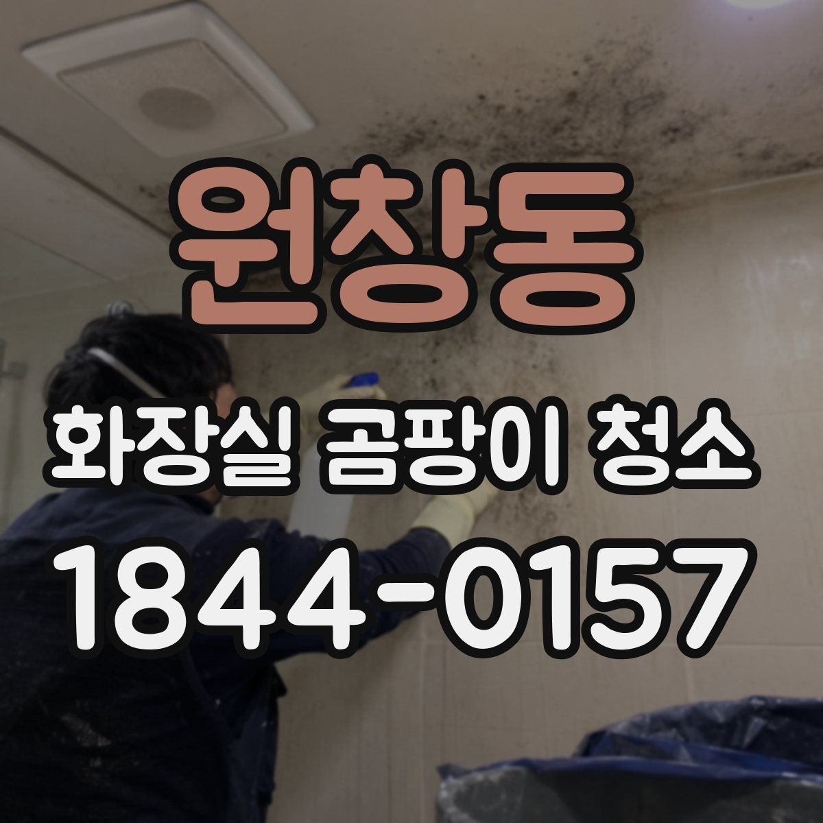 원창동 화장실 곰팡이 청소