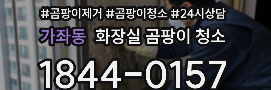 가좌동 화장실 곰팡이 청소