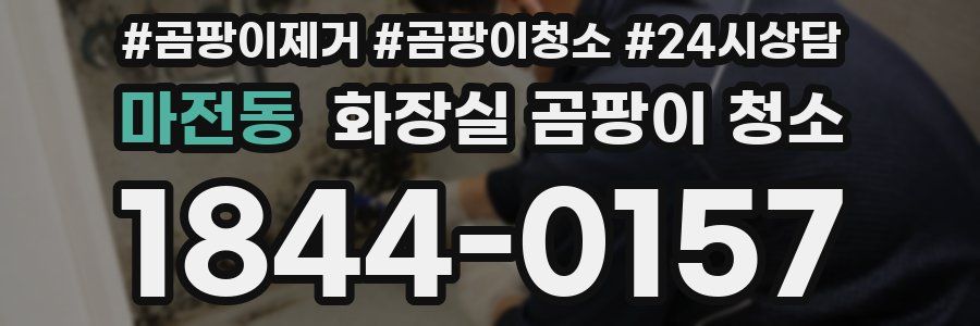 마전동 화장실 곰팡이 청소