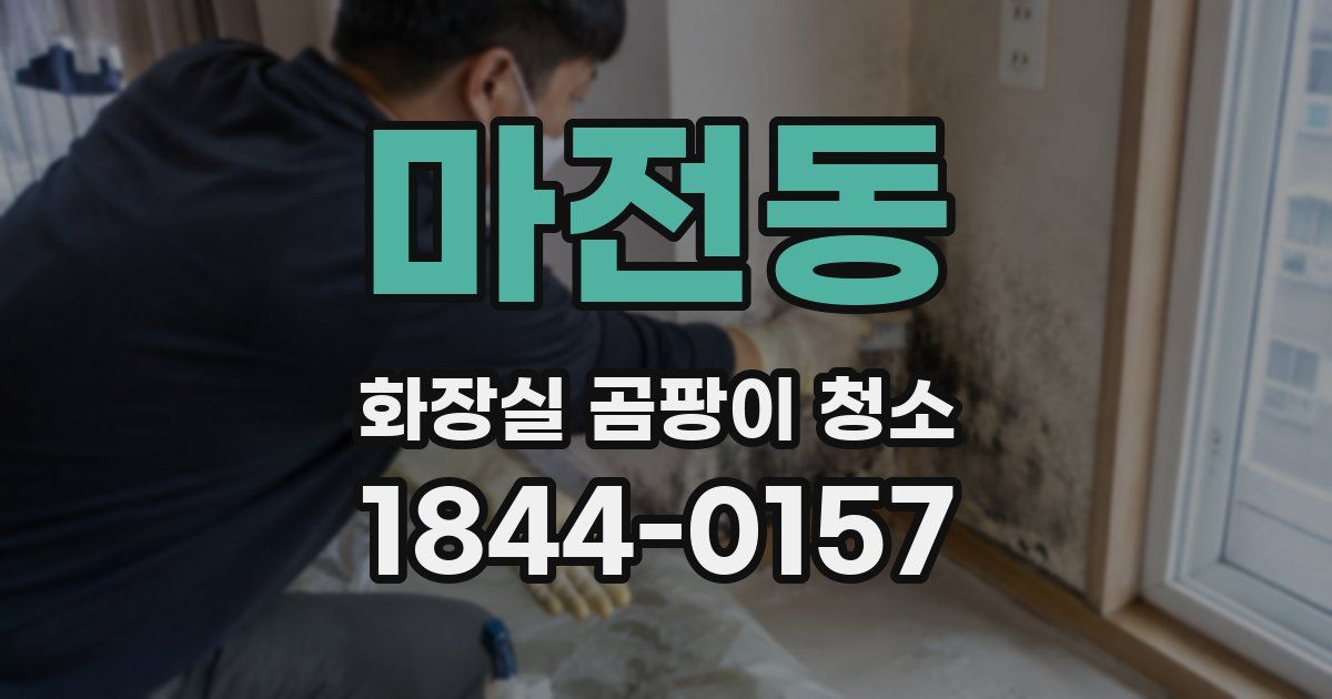 마전동 화장실 곰팡이 청소