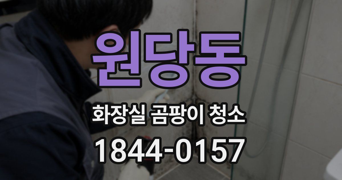원당동 화장실 곰팡이 청소