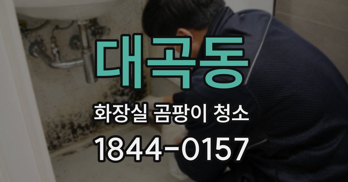 대곡동 화장실 곰팡이 청소