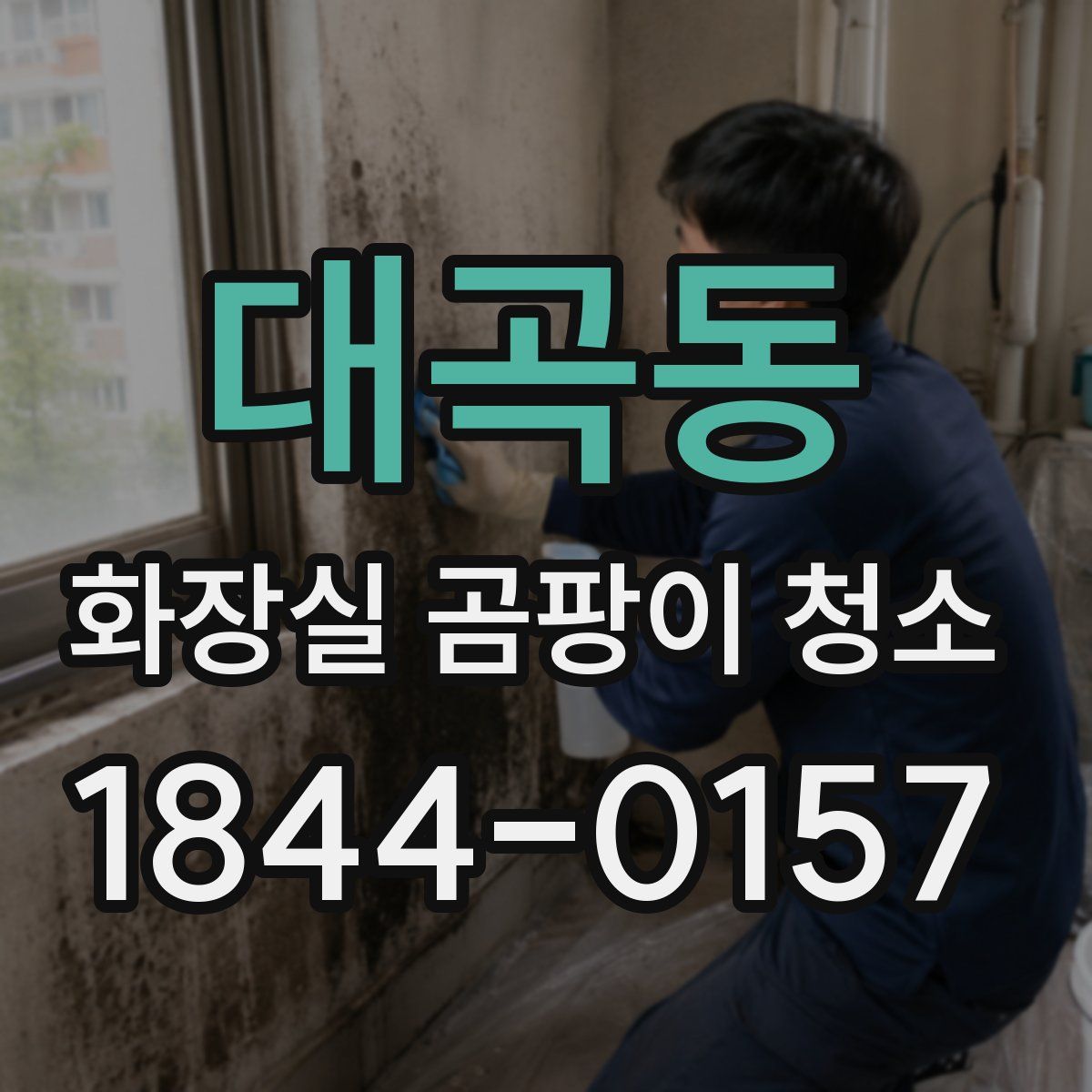 대곡동 화장실 곰팡이 청소