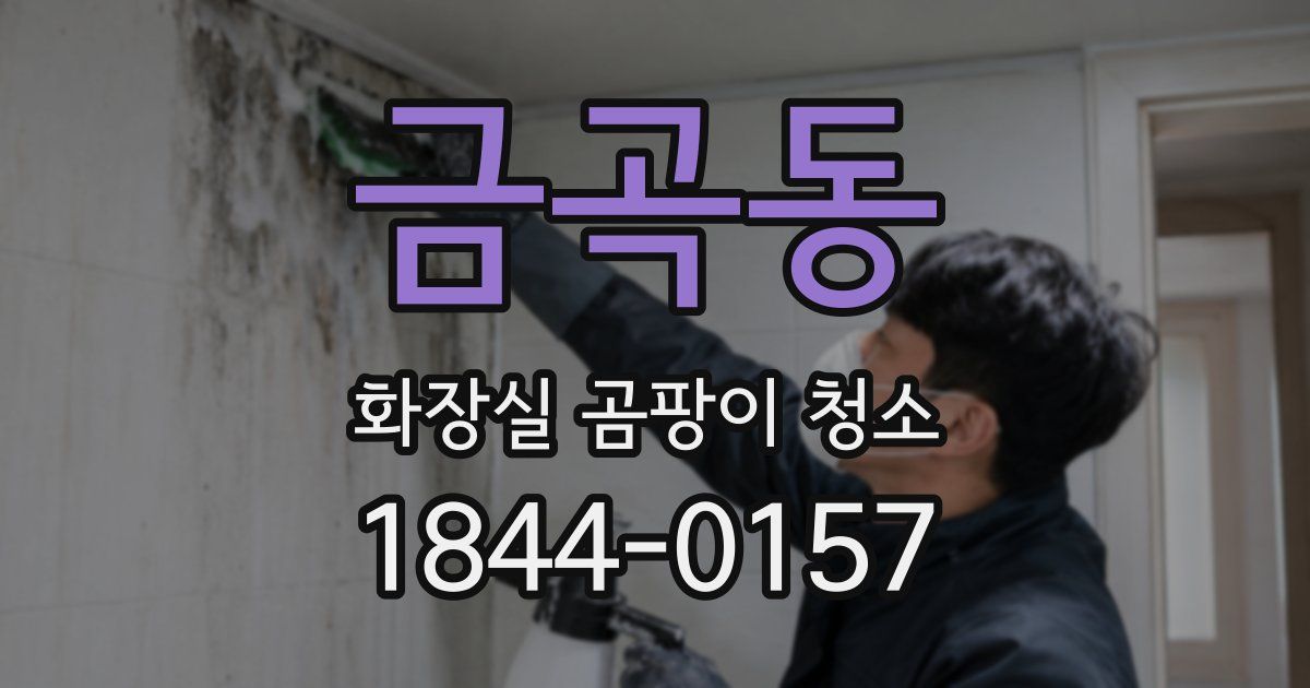 금곡동 화장실 곰팡이 청소