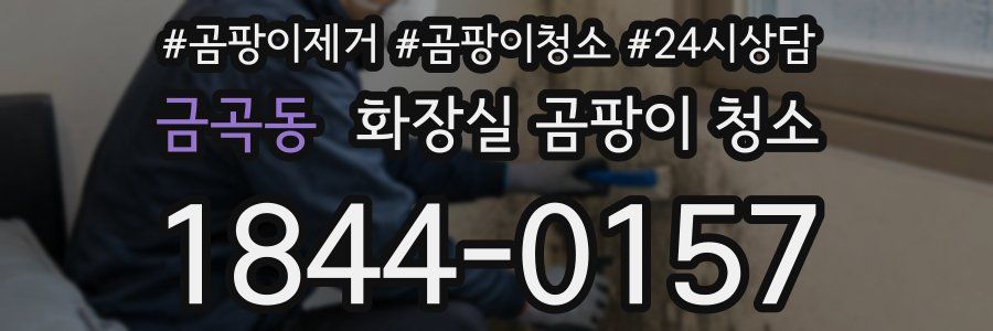 금곡동 화장실 곰팡이 청소