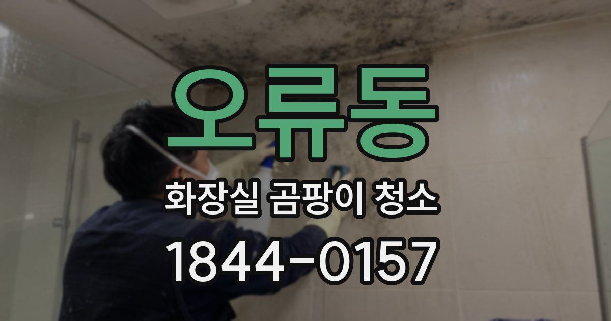 오류동 화장실 곰팡이 청소