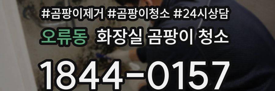 오류동 화장실 곰팡이 청소