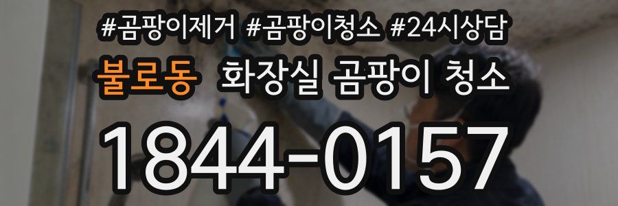 불로동 화장실 곰팡이 청소