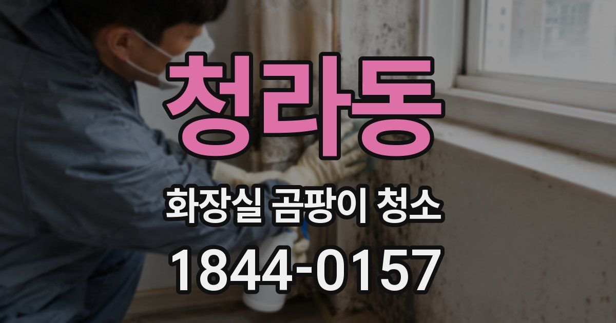 청라동 화장실 곰팡이 청소