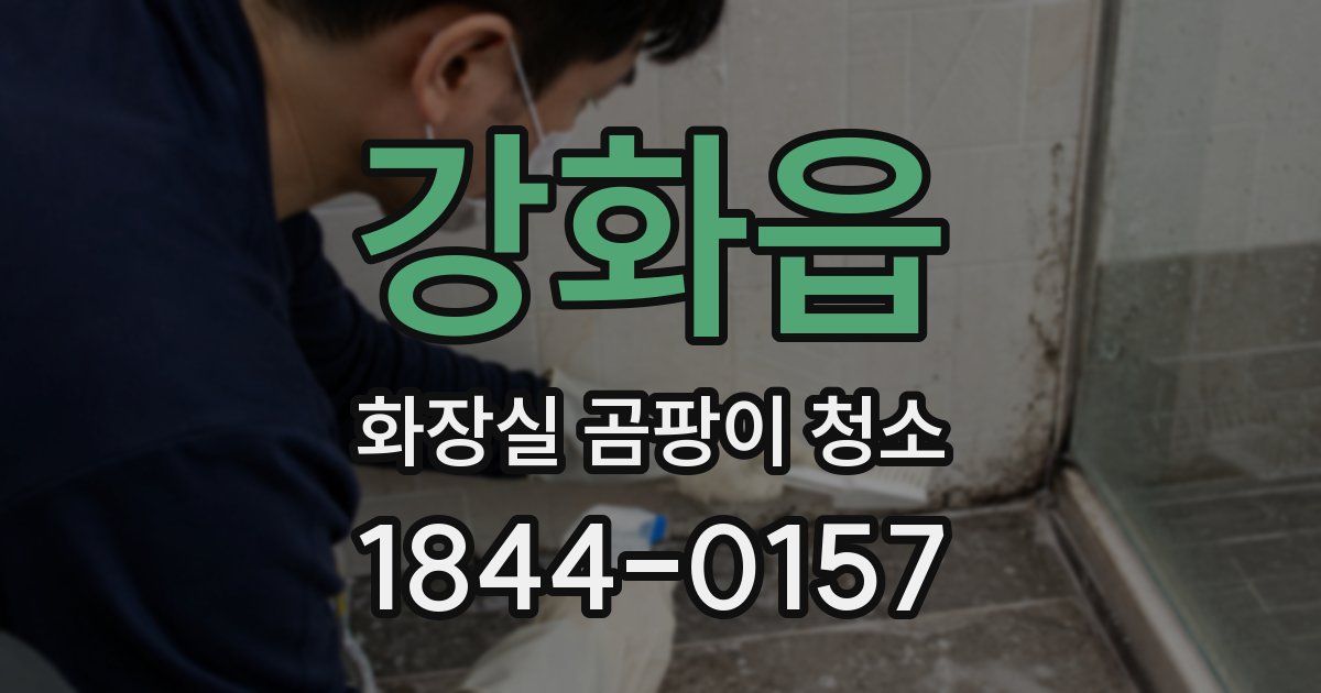 강화읍 화장실 곰팡이 청소