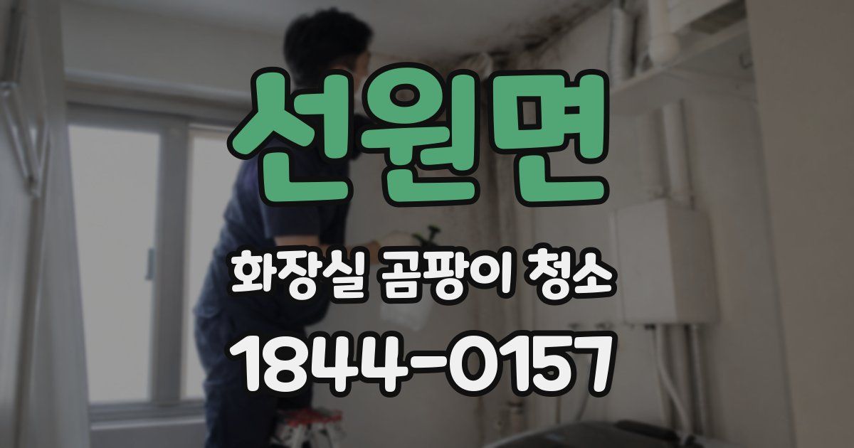 선원면 화장실 곰팡이 청소