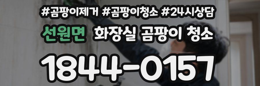 선원면 화장실 곰팡이 청소