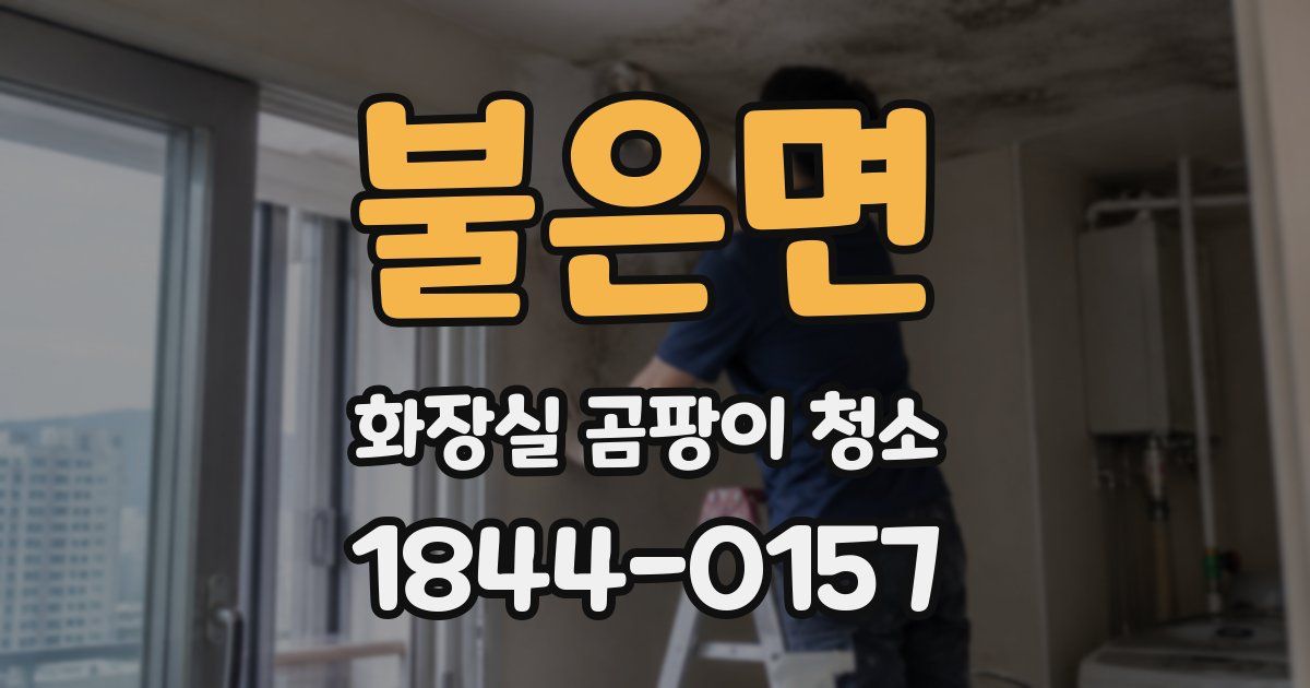 불은면 화장실 곰팡이 청소