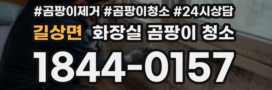 길상면 화장실 곰팡이 청소