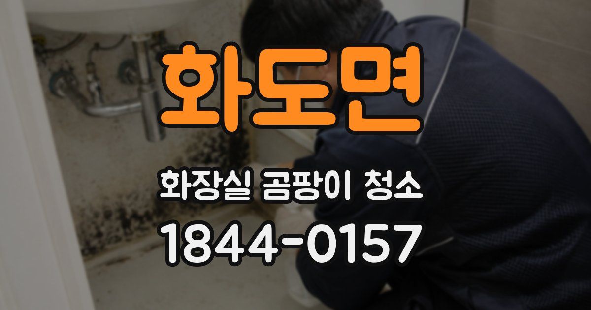 화도면 화장실 곰팡이 청소