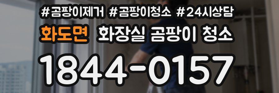 화도면 화장실 곰팡이 청소