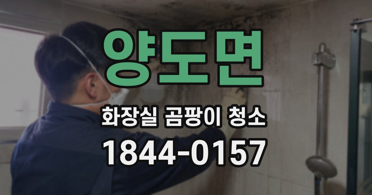 양도면 화장실 곰팡이 청소