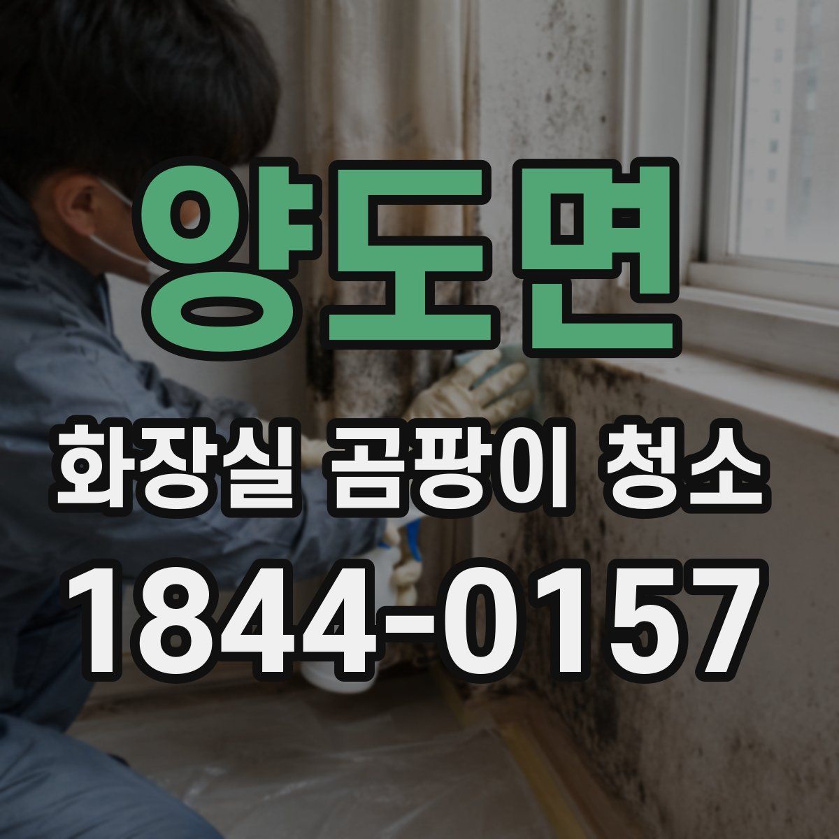 양도면 화장실 곰팡이 청소