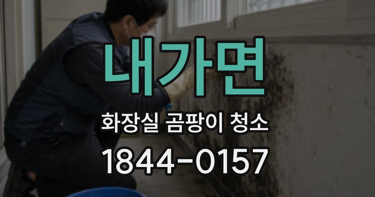 내가면 화장실 곰팡이 청소