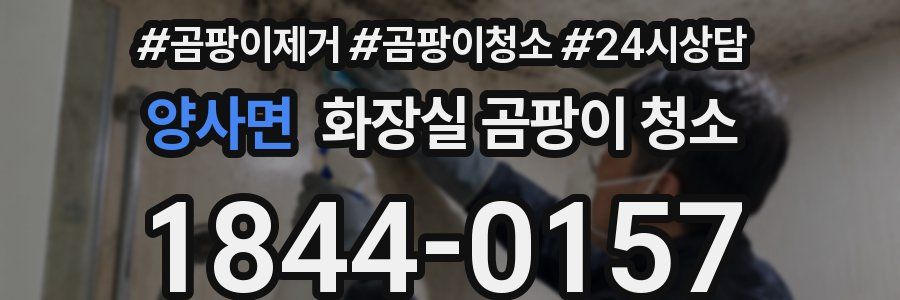 양사면 화장실 곰팡이 청소