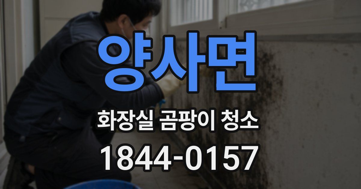 양사면 화장실 곰팡이 청소