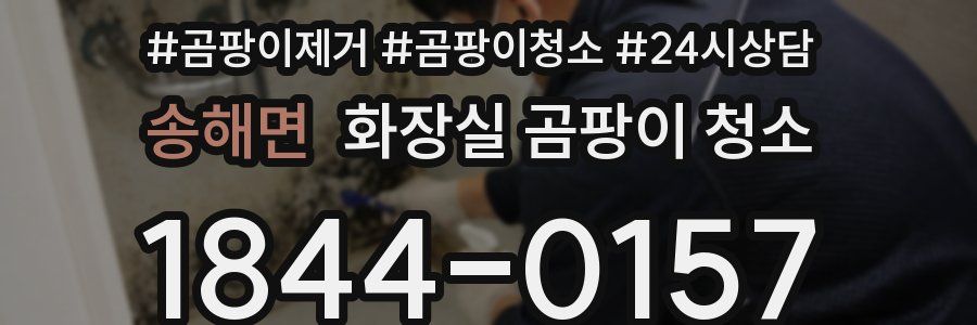 송해면 화장실 곰팡이 청소